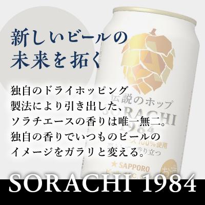 ふるさと納税 焼津市 【定期便8回】サッポロ SORACHI 1984 ソラチ 350ml×12本(T0111-1008)_2