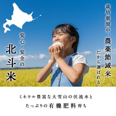 ふるさと納税 東神楽町 【令和7年産】北斗米きたくりん20kg (5kg×4袋)の画像