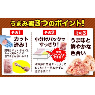 ふるさと納税 氷川町 うまかチキン 全パックもも肉 1.24kg [7-14日以内に出荷予定(土日祝除く)]