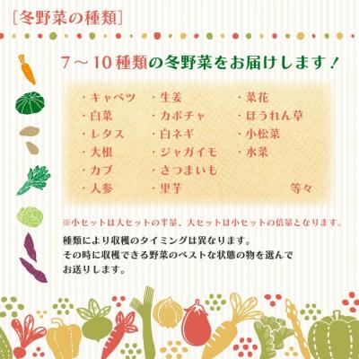 ふるさと納税 四万十市 【3回定期便・早期・数量限定】アグリユウベの冬野菜セット(小)【配送:R8年12月・R9年1月2月】_1