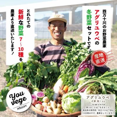 ふるさと納税 四万十市 【3回定期便・早期・数量限定】アグリユウベの冬野菜セット(小)【配送:R8年12月・R9年1月2月】_2