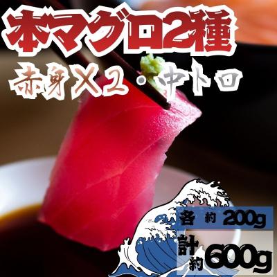 ふるさと納税 深浦町 本マグロ 赤身 2柵 中トロ 1柵 セット 国産 本鮪