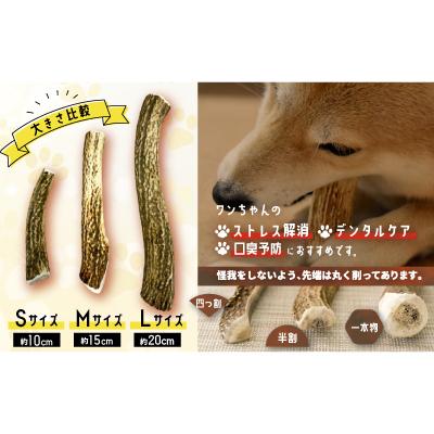 ふるさと納税 浦河町 犬用「鹿の角(半割り)」Lサイズ×2本[53-1600]の画像