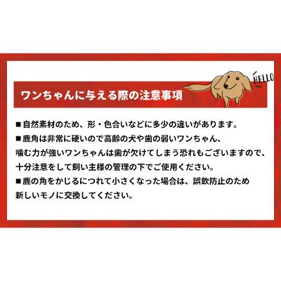 ふるさと納税 浦河町 犬用「鹿の角(半割り)」Lサイズ×2本[53-1600]の画像