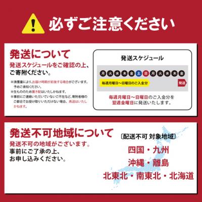 ふるさと納税 小山町 【訳あり】サーモン 小分け 約1kg 国産 小山町産 アトランティックサーモン 柵 刺身用_3