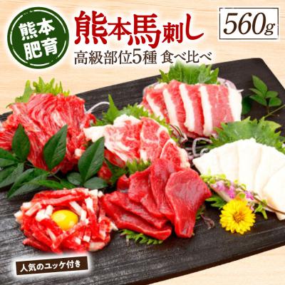 ふるさと納税 八代市 熊本馬刺し 5種を贅沢に楽しむセットに馬刺しユッケ付き_168-4168-B