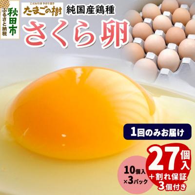 ふるさと納税 秋田市 たまごの樹 純国産鶏種 卵『さくら』27個+割れ保証3個 10個×3P|15_tyt-030301