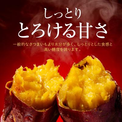 ふるさと納税 天草市 鏡さんちの紅はるか 5kg_S050-010の画像