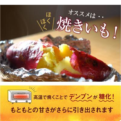 ふるさと納税 天草市 鏡さんちの紅はるか 5kg_S050-010の画像