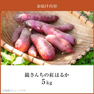 ふるさと納税 天草市 鏡さんちの紅はるか 5kg_S050-010の画像