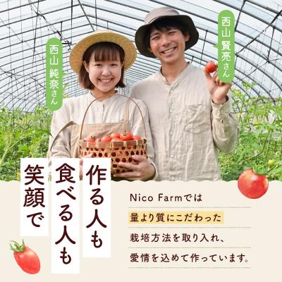 ふるさと納税 余市町 【定期便全6回】NicoFarm トマトジュース 180ml 30本×6回_Y124-0044の画像