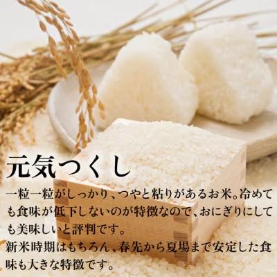 ふるさと納税 筑前町 令和7年産 福岡県産米 元気つくし 合計20kg(5kg×4袋)(筑前町)の画像
