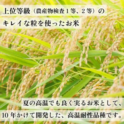 ふるさと納税 筑前町 令和7年産 福岡県産米 元気つくし 合計20kg(5kg×4袋)(筑前町)の画像