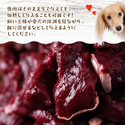 ふるさと納税 八代市 わんちゃん用 鹿生サイコロステーキ ジビエ 300g×3 計900g_067-4860-Bの画像
