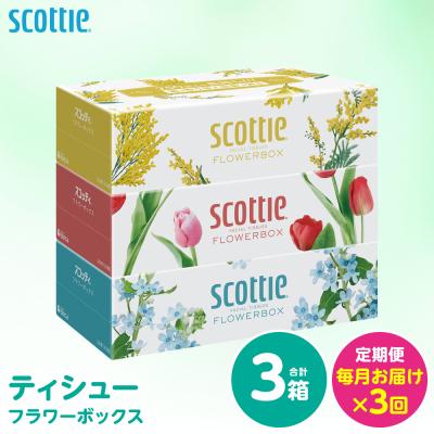 ふるさと納税 八代市 [毎月定期便] ティッシュ 250組 3箱 日用品 スコッティ 全3回
