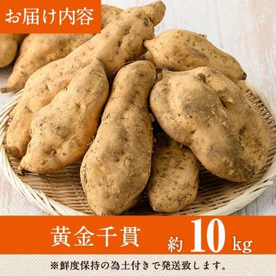 ふるさと納税 曽於市 【先行受付】黄金千貫(10kg)の画像