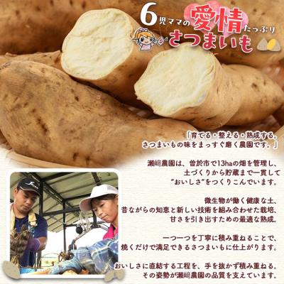 ふるさと納税 曽於市 【先行受付】黄金千貫(10kg)の画像
