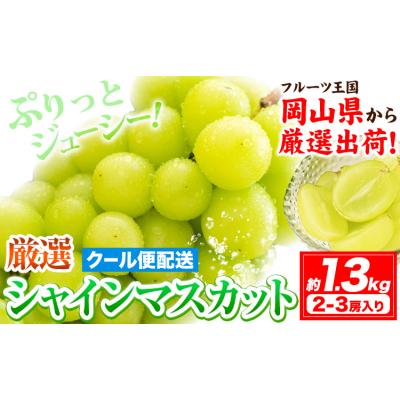 ふるさと納税 笠岡市 [さとふる限定]シャインマスカット 約1.3kg[9月上旬-11月中旬頃出荷]笠岡市
