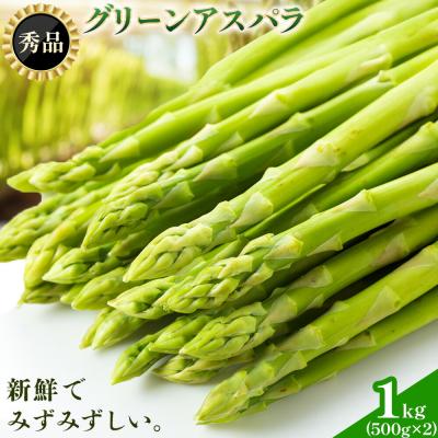 ふるさと納税 日高町 秀品 アスパラガス グリーンアスパラ 2L 1kg 門別町農業協同組合[4月上旬-5月末頃出荷]