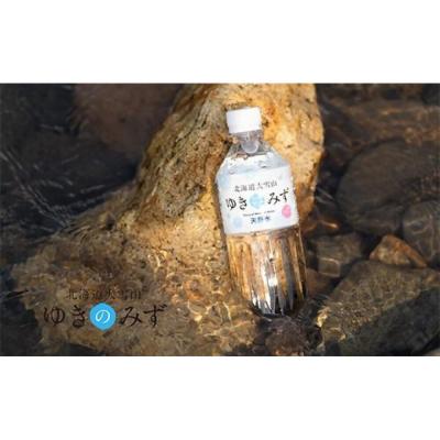 ふるさと納税 上川町 【2ヵ月毎定期便】北海道大雪山 ゆきのみず 550ml×24本入り【633】全4回の画像