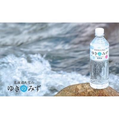 ふるさと納税 上川町 【毎月定期便】北海道大雪山 ゆきのみず 550ml×24本入り 【2ケース計48本】【631】全2回の画像