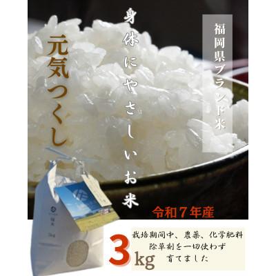 ふるさと納税 筑前町 令和7年産 身体にやさしいお米[栽培期間中、農薬・化学肥料を一切使わず育てたお米]農家直送致します