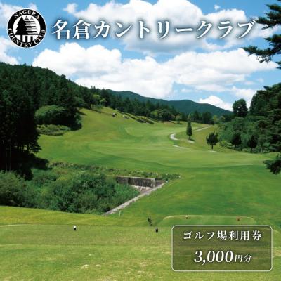 ふるさと納税 設楽町 名倉カントリークラブ ゴルフ 利用券 3000円分 ゴルフ場 施設利用券
