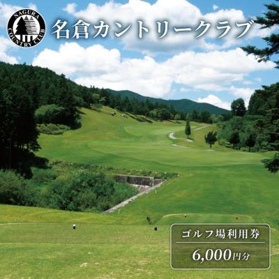 ふるさと納税 設楽町 名倉カントリークラブ ゴルフ 利用券 6000円分 ゴルフ場 施設利用券
