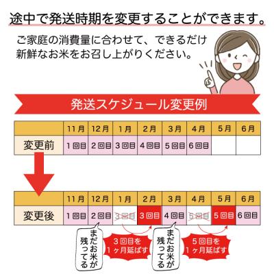ふるさと納税 大蔵村 ＜8年産米先行受付＞令和8年11月中旬発送 はえぬき【無洗米】30kg定期便(5kg×6回)大蔵村の画像