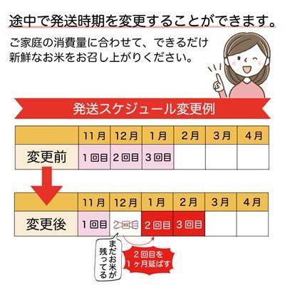 ふるさと納税 大蔵村 ＜8年産米先行受付＞令和8年11月中旬発送 はえぬき【無洗米】30kg定期便(10kg×3回)大蔵村の画像
