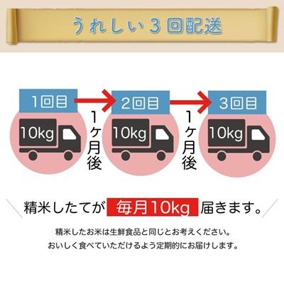 ふるさと納税 大蔵村 ＜8年産米先行受付＞令和8年12月下旬発送 はえぬき【白米】30kg定期便(10kg×3回)大蔵村の画像