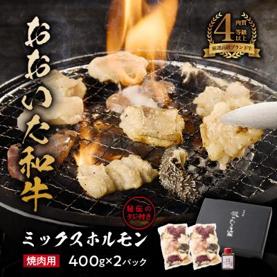 ふるさと納税 国東市 [秘伝のタレ付]おおいた和牛ミックスホルモン400g×2パック_2678R