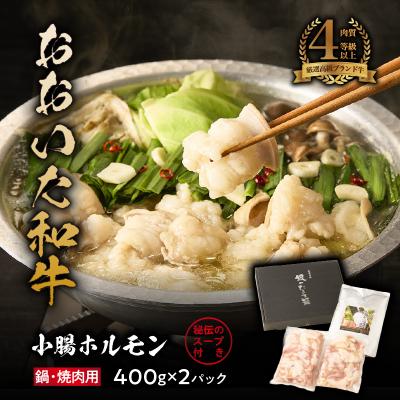 ふるさと納税 国東市 [秘伝のスープ付]おおいた和牛 小腸ホルモン400g×2パック_2680R