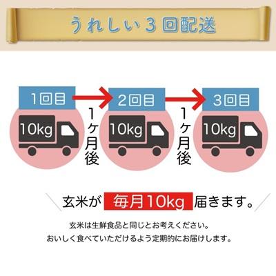 ふるさと納税 大蔵村 ＜8年産米先行受付＞令和9年2月中旬発送 はえぬき【玄米】30kg 定期便(10kg×3回)大蔵村の画像
