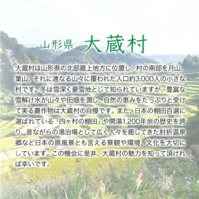 ふるさと納税 大蔵村 ＜8年産米先行受付＞令和9年2月下旬発送 はえぬき【白米】30kg定期便(10kg×3回)大蔵村の画像