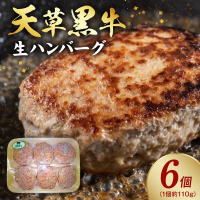 ふるさと納税 天草市 天草黒牛生ハンバーグ