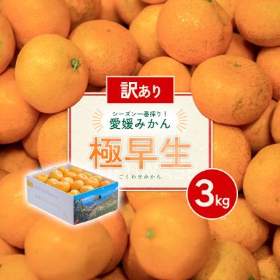 ふるさと納税 西予市 [先行受付]<訳あり 愛媛県産 極早生みかん 合計約3kg>愛媛 ミヤモトオレンジガーデン