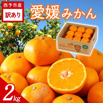 ふるさと納税 西予市 [先行受付]<訳あり 愛媛みかん 合計約2kg>愛媛 ミヤモトオレンジガーデン