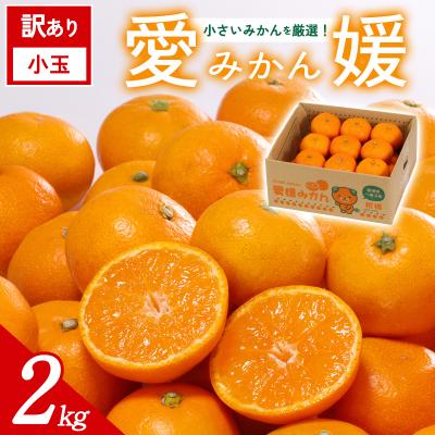 ふるさと納税 西予市 [先行受付]<訳あり 愛媛県産 小玉みかん 合計約2kg>愛媛 ミヤモトオレンジガーデン