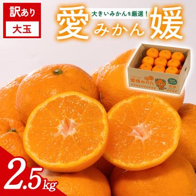 ふるさと納税 西予市 [先行受付]<訳あり 大玉 愛媛みかん 合計約2.5kg>愛媛 ミヤモトオレンジガーデン