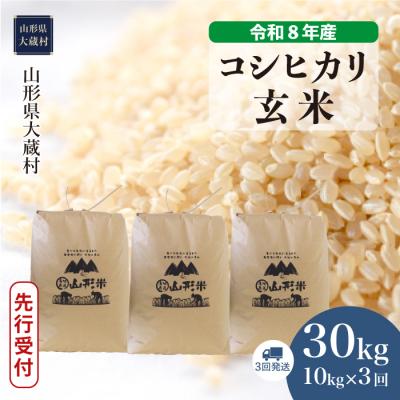 ふるさと納税 大蔵村 [8年産米先行受付]令和8年11月上旬発送 こしひかり[玄米]30kg (3回定期便)大蔵村