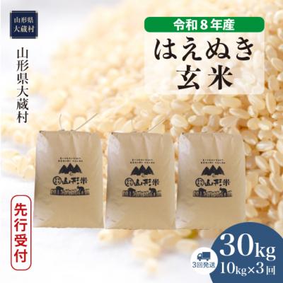 ふるさと納税 大蔵村 [8年産米先行受付]令和8年11月上旬発送 はえぬき[玄米]30kg 定期便(3回定期便)大蔵村