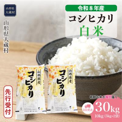ふるさと納税 大蔵村 [8年産米先行受付]令和8年11月上旬発送 こしひかり[白米]30kg定期便(3回定期便)大蔵村