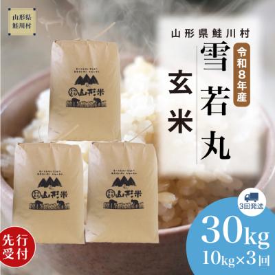 ふるさと納税 鮭川村 [8年産米先行受付]令和8年11月上旬発送開始 雪若丸[玄米]30kg (3回定期便) 鮭川村