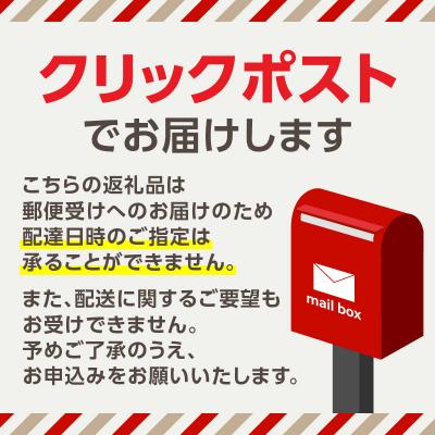 ふるさと納税 新宿区 【スタジオインディ新宿店限定】エアライン証明写真25,000円分チケット_0182-010-S07_3