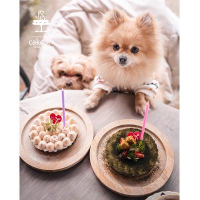 ふるさと納税 筑前町 ペットフード【贈り物】【お誕生日】鹿肉のタルトケーキ風(12cm)〜 green 〜_1