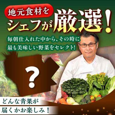 ふるさと納税 大洲市 栽培期間中農薬不使用!大満足 旬のお野菜セット [AGBX003]_1