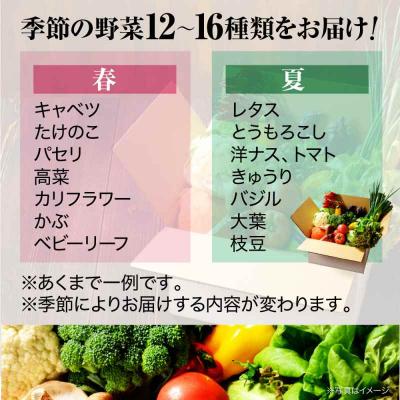 ふるさと納税 大洲市 栽培期間中農薬不使用!大満足 旬のお野菜セット [AGBX003]_2