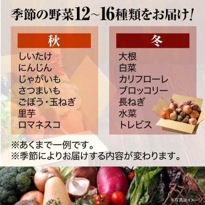 ふるさと納税 大洲市 栽培期間中農薬不使用!大満足 旬のお野菜セット [AGBX003]_3