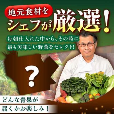 ふるさと納税 大洲市 【全6回定期便】栽培期間中農薬不使用!旬のお野菜セット×もぎたてフルーツセット [AGBX007]_2